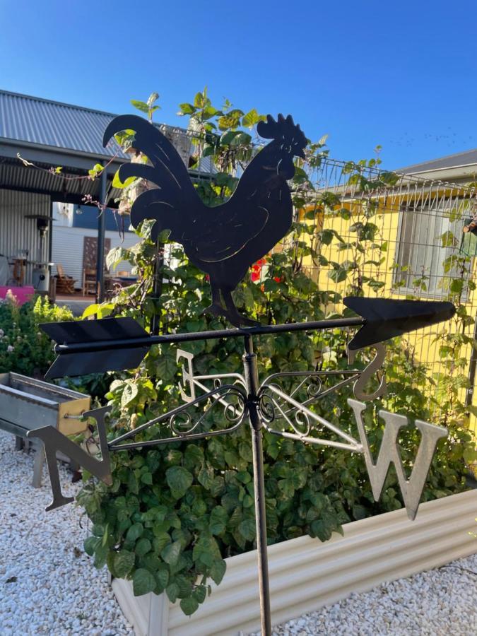 קינגסקוטה Ki Dragonfly Guesthouse מראה חיצוני תמונה
